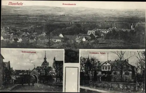 Ak Meerholz Gelnhausen in Hessen, Panorama, Schlosseingang, Gräfliches Palais