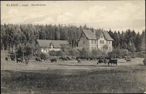 Ak Elend Oberharz am Brocken, Oberförsterei