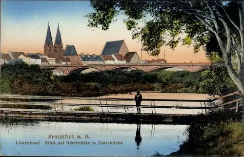 Ak Frankfurt an der Oder, Löweninsel, Oderbrücke, Unterkirche