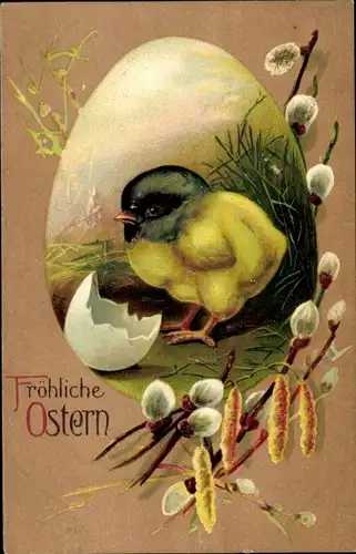 Präge Ak Glückwunsch Ostern, Küken, Eierschale, Weidenkätzchen