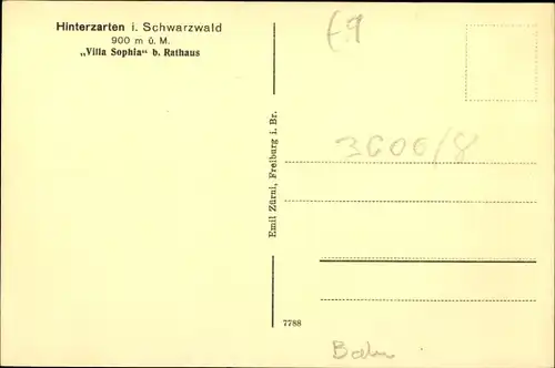 Ak Hinterzarten im Schwarzwald, Villa Sophia