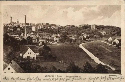 Ak Złotoryja Goldberg Schlesien, Gesamtansicht