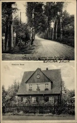 Ak Colditz in Sachsen, Eingang zum Colditzer Wald, Henkers Haus