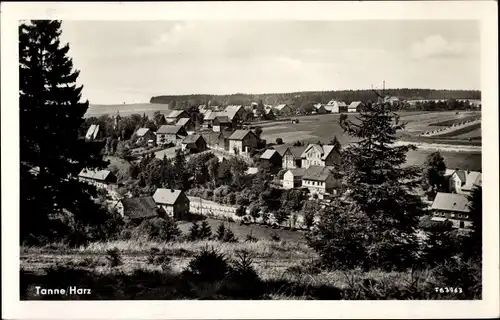 Ak Tanne Oberharz am Brocken, Panoramaansicht vom Ort