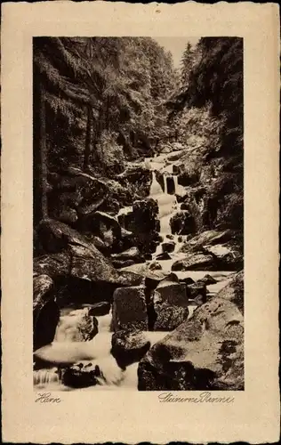 Ak Hasserode Wernigerode am Harz, Steinerne Renne