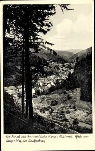 Ak Zorge im Harz, Blick vom langen Weg am Stauffenberg zum Ort