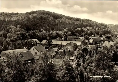 Ak Güntersberge Harzgerode am Harz, Totalansicht