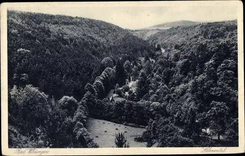 Ak Bad Wildungen in Hessen, Helenental, Panorama