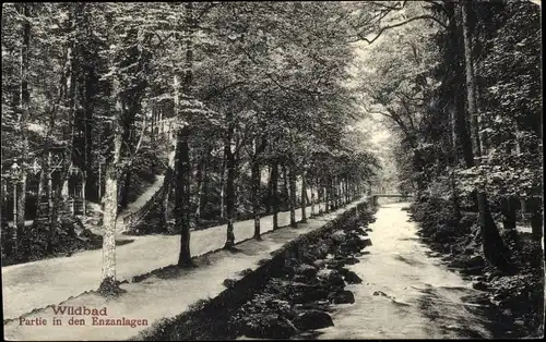 Ak Bad Wildbad im Schwarzwald, Enzanlagen