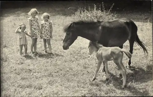 Foto Ak Prinzessin Beatrix der Niederlande mit Schwestern, Pferd