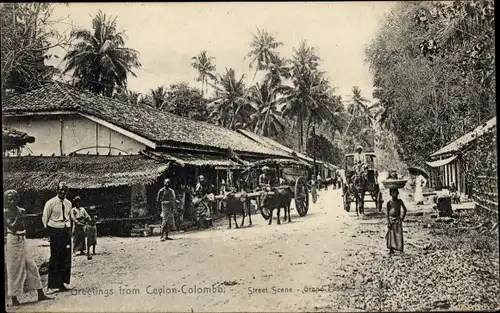 Ak Colombo Ceylon Sri Lanka, Straßenszene, Grand Pass, Indigene, Ochsenfuhre