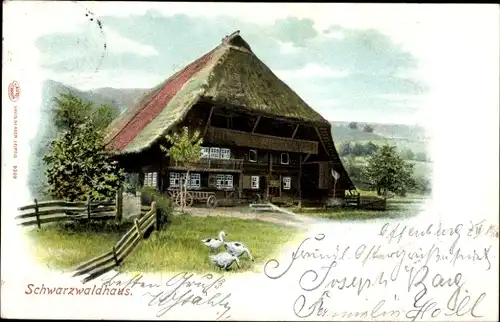 Ak Schwarzwaldhaus, Bauernhaus, Gänse, Holzkarren