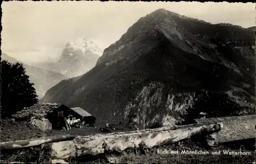 Ak Kanton Bern, Berner Oberland, Wetterhorn, Männerhorn