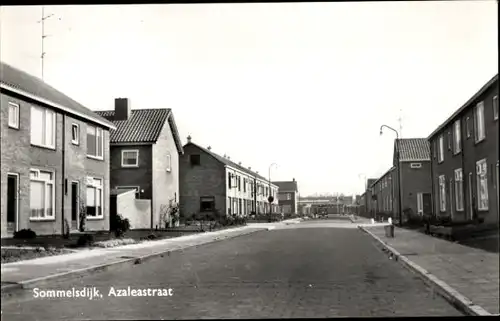 Ak Sommelsdijk Insel Goeree Overflakkee Südholland, Azaleastraat
