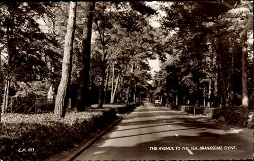 Ak Poole Dorset England, Branksome Chine, Avenue to the Sea