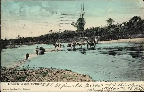 Ak Puerto Limón Costa Rica, Hacienda Gute Hoffnung