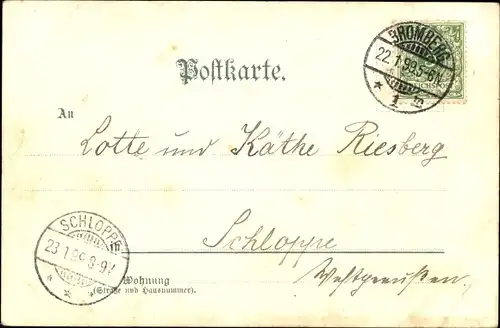 Litho Kaiserin Auguste Viktoria, Portrait