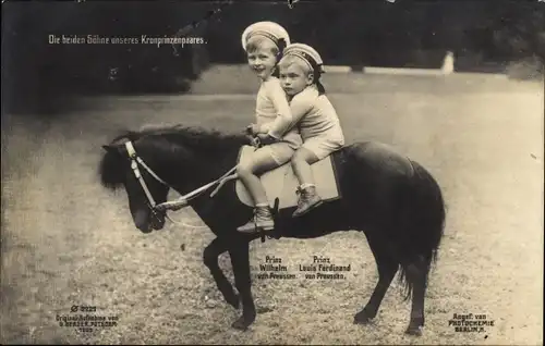 Ak Die beiden Söhne des Kronprinzenpaares, Prinz Wilhelm und Prinz Louis Ferdinand auf einem Pony