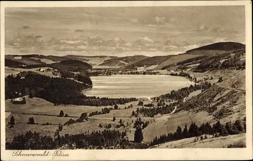 Ak Titisee Neustadt im Breisgau Hochschwarzwald, Panorama