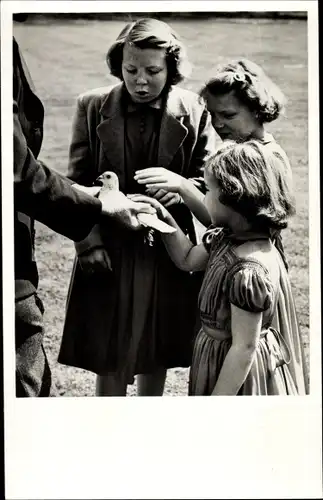 Ak Drei Prinzessinnen der Niederlande, Beatrix, Irene, Margriet 1950