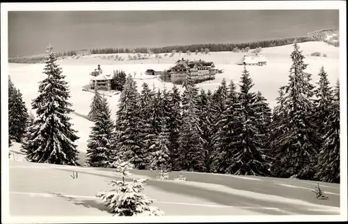 Ak Freiburg im Breisgau, Schauinsland, Hotel Halde, Winter