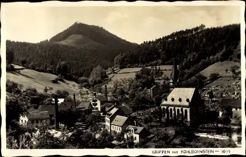 Ak Krippen Bad Schandau Sächsische Schweiz, Kohlbornstein