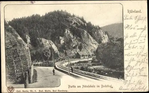 Ak Rübeland Oberharz am Brocken, Partie am Nebelsholz im Bodetal, Bahnstrecke