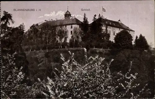 Ak Blankenburg am Harz, Schloss