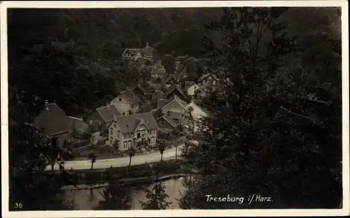 Ak Treseburg Thale im Harz, Teilansicht, Bodetal