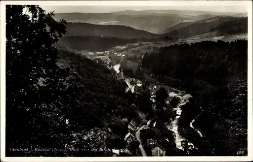 Ak Altenbrak Thale im Harz, Panorama