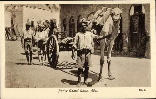 Ak Aden Jemen, Kamelfuhrwerk
