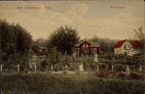 Ak Albersdorf in Dithmarschen, Waldstraße, Häuser