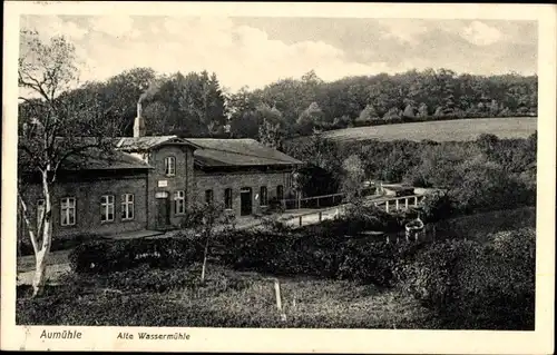 Ak Aumühle im Herzogtum Lauenburg, Wirtschaft Zur Mühle