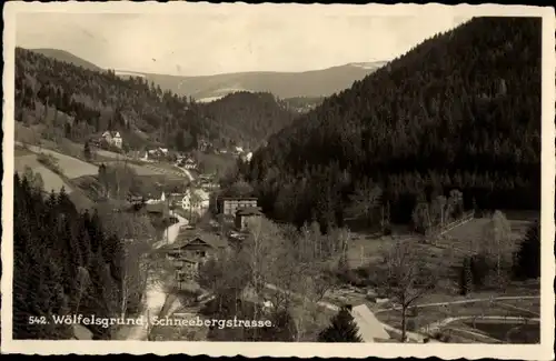 Ak Międzygórze Wölfelsgrund Schlesien, Schneebergstraße