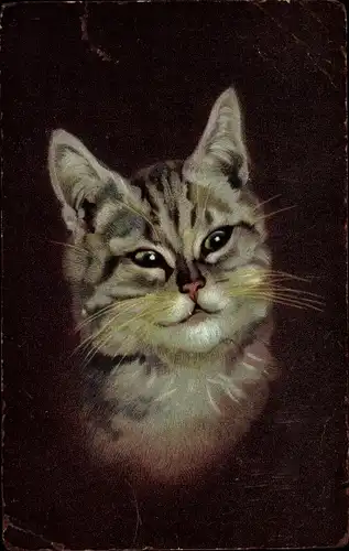 Ak Getigerte Katze, Tierportrait, Reklame Hoffmann's Stärkefabriken Salzuflen