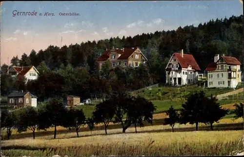 Ak Gernrode Quedlinburg im Harz, Häuser an der Osterhöhe