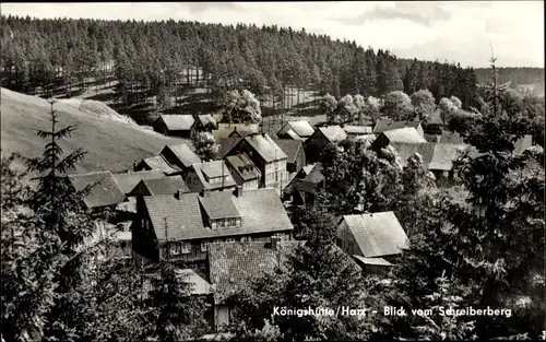 Ak Königshütte Oberharz am Brocken, Blick vom Schreiberberg