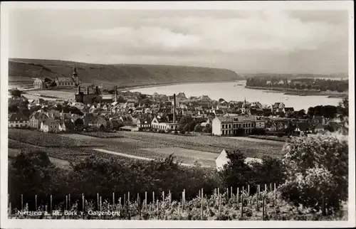 Ak Nierstein in Rheinland Pfalz, Blick vom Galgenberg auf Ort