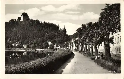 Ak Ziegenrück an der Saale Thüringen, Dr. Reif Promenade