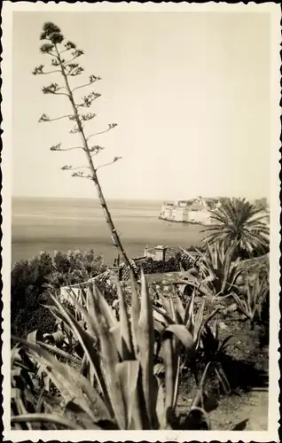 Ak Dubrovnik Kroatien, Totalansicht