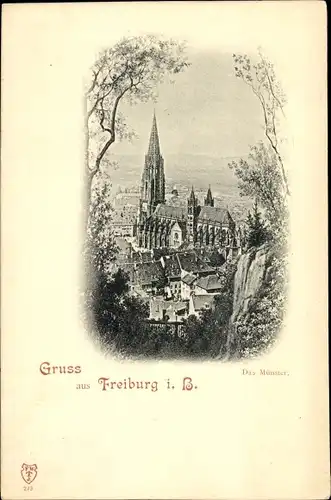 Ak Freiburg im Breisgau, Münster