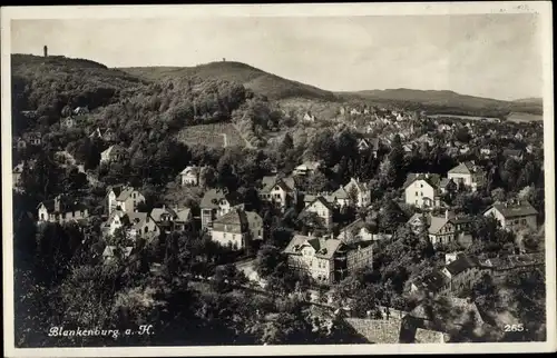 Ak Blankenburg am Harz, Panorama