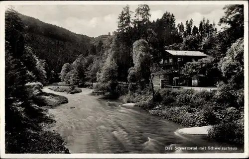 Ak Schwarzburg in Thüringen, Schweizerhaus im Schwarzatal