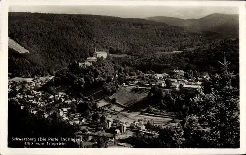 Ak Schwarzburg in Thüringen, Panorama, Trippstein