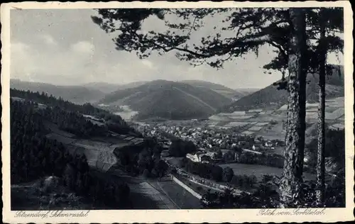 Ak Sitzendorf in Thüringen, Panorama