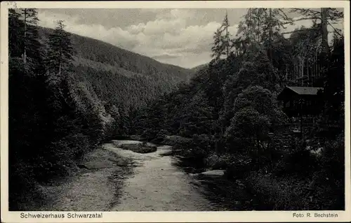 Ak Schwarzburg in Thüringen, Schweizerhaus im Schwarzatal