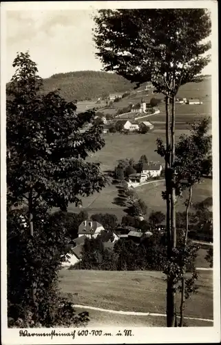 Ak Warmensteinach Oberfranken Bayern, Panorama