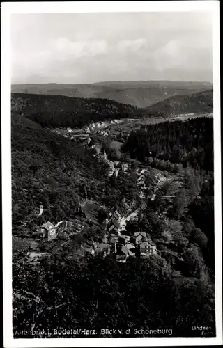 Ak Altenbrak Thale im Harz, Gesamtansicht, Schöneburg