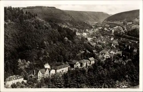 Ak Calw im Schwarzwald, Panorama