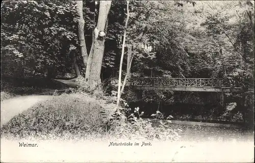 Ak Weimar in Thüringen, Naturbrücke im Park